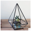 Bán buôn Bình thủy tinh Martini Thủy tinh thổi thủ công Terrarium